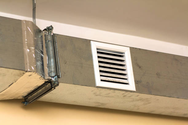 Best Professional Duct Cleaning Services  in Wills Point, TX
